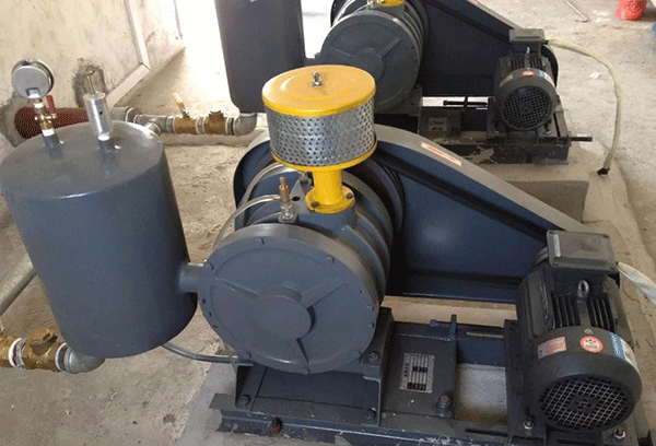 鼓風(fēng)機(jī)電機(jī)為什么容易斷軸——西安泰富西瑪電機(jī)(西安西瑪電機(jī)集團(tuán)股份有限公司)官方網(wǎng)站 鼓風(fēng)機(jī)電機(jī)為什么容易斷軸——西安泰富西瑪電機(jī)(西安西瑪電機(jī)集團(tuán)股份有限公司)官方網(wǎng)站