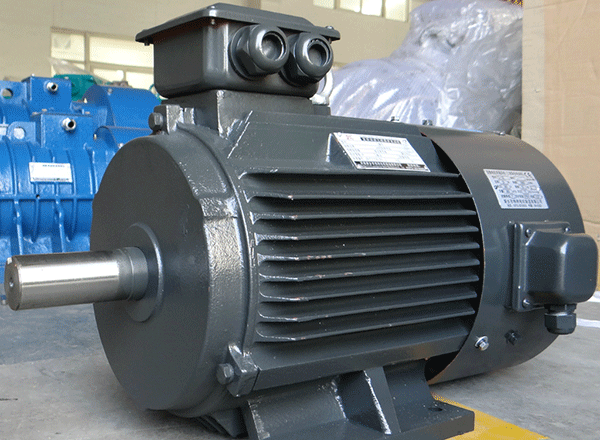 西安西瑪感應(yīng)式電機(jī)逆時(shí)針輸入工作負(fù)荷采集。